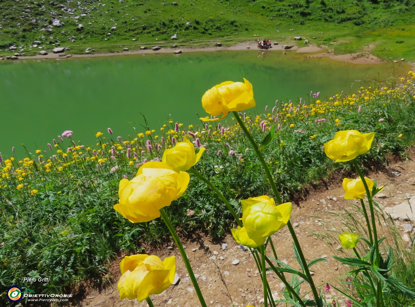 52 Bello godersi la riva del lago.JPG